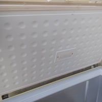 مجمدة • للبيع • كربلاء