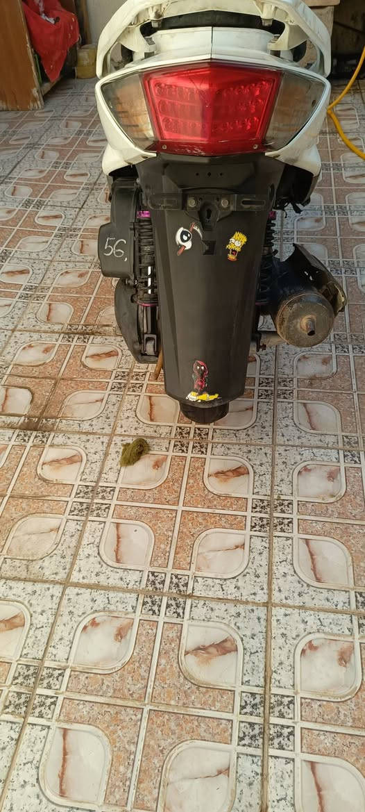 سگنس فحل ياباني كابريتر مزوده بوشه وبستم ٥٨ ونص دراجه لانضوح لابخار لاتنقيص كهربائيات كلهه شغاله شلعه ومعدل حلوات للبيع وترهم مراوس حسب القناعه السعر والتفاصيل خاص مكاني مشخاب


**إذا كنت صاحب هذا الإعلان وتريد حذفه لأي سبب، رجاءا أرسل رسالة إلى الدعم الفني**