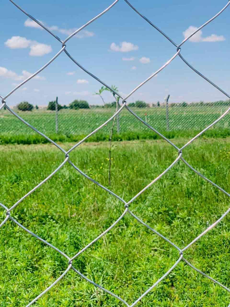 🔹 شركة الهادي الهندسيه لعمل اسيجة ال brc بكافة القياسات 
✅ نعمل السياج بـ جادر وبدون جادر حسب الطلب
✅ متوفر لدينا السياج العشبي الصناعي لإطلالة جمالية مميزة
✅ سياج بوري 
✅ سياج جينكو 
✅ مقاومة للعوامل الجوية
✅ تركيب سريع واحترافي
💸 بأسعار تبدأ من 5,000 دينار فقط الى حتى 9,000 دينار للمتر الواحد!
📍 مثالية للمزارع، المشاريع السكنية، التجارية، والمناطق الصناعية
✨ الأمان والجودة في متناول يدك مع "شركة الهادي الهندسيه "!
📞 للحجز والاستفسار: قم بمراسلة الصفحة او الاتصال على  الارقام التالية ⬇
📱 *********** واتساب 
📱 *********** واتساب 
📱***********
