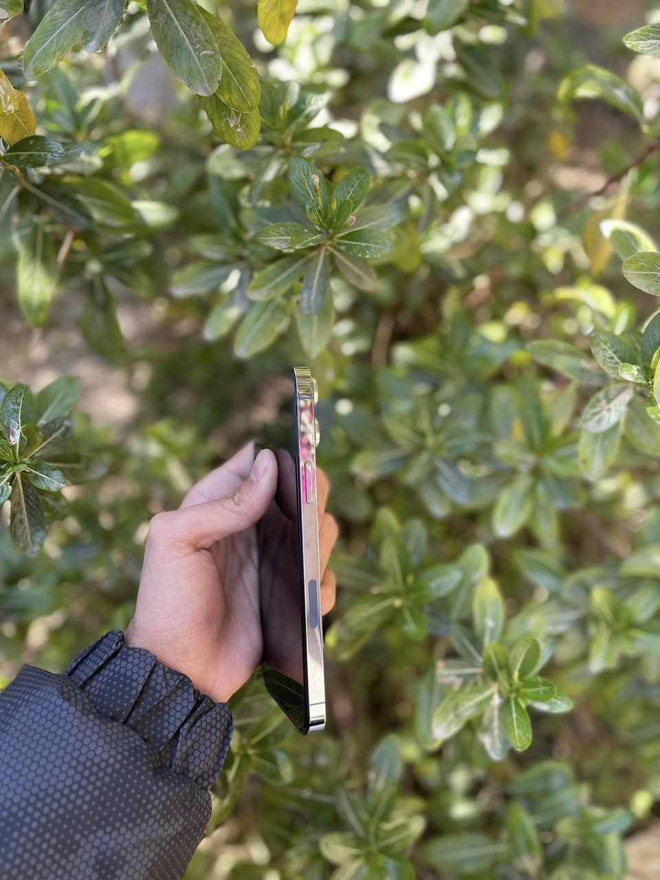 السلام عليكم ايفون 13 برو ماكس بحري ذاكره 256 بطاريه 81 بلادي مامفتوح ضمان بي نضيف نضافه كدامك مال بيت ويا شاحنته الاصليه شراي راسلني عنواني بعقوبه


**إذا كنت صاحب هذا الإعلان وتريد حذفه لأي سبب، رجاءا أرسل رسالة إلى الدعم الفني**