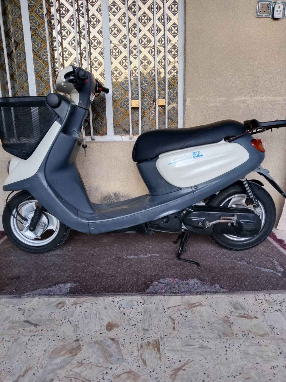 دراجة منغولي مكفولة كفالة عامة ***********
