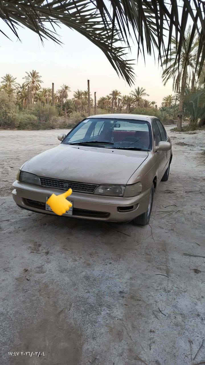 كورلا 92 رقم بغداد مشروع وطني تحويل ثاني يوم عنوان ناصريه سوق الشيوخ السعر 40 لاستفسار ***********
