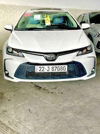 كورلا خليجي • ٢٠٢٣ • رقم اربيل