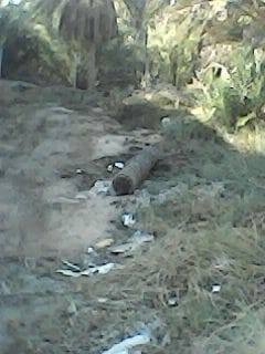 اعلان
قطعه زراعي 115 متر منطقه سكنية شارعه 10 متر طريق ام عواد 
قرب حي المهندسين ..
للاستفسار 
الاتصال بأحدى الأرقام 
***********..
***********..
