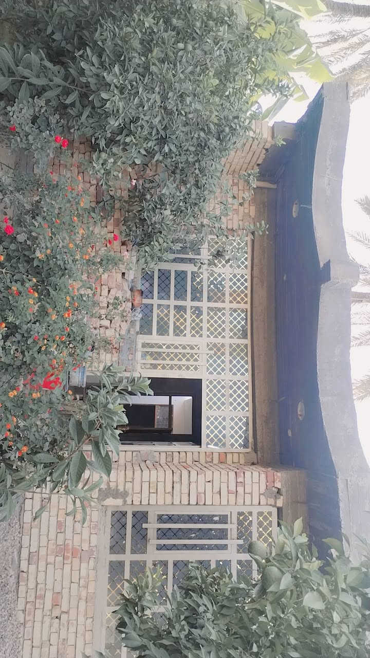 سلام عليكم عندي ربع دونم ٦٢٥ متر مربع سند ٢٥ بي بيت جديد يحتوي على ٢غرفه +حولي جبير وخدمات واستقبال ومطبخ +ماء سقي مع ماء اساله كهرباء سحب ووطني يبعد عن الشارع ١٥٠ متر للبيع في الراشديه ساده البحيات مزروعه حمضيات وبرتقال السعر ١٥٥ مليون للستفسار اكثر اتصل *********** بي وتساب
