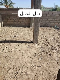 حدل أرضي • العباس النجفية