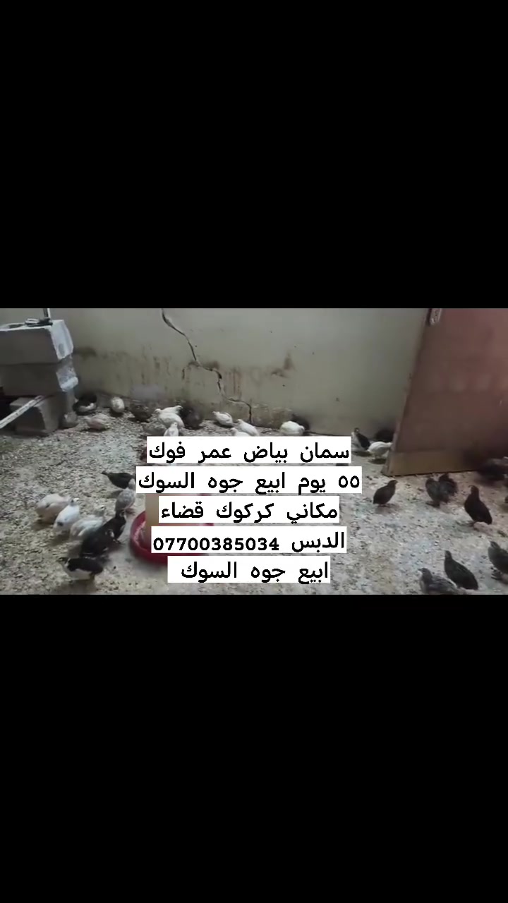 توفر


**إذا كنت صاحب هذا الإعلان وتريد حذفه لأي سبب، رجاءا أرسل رسالة إلى الدعم الفني**