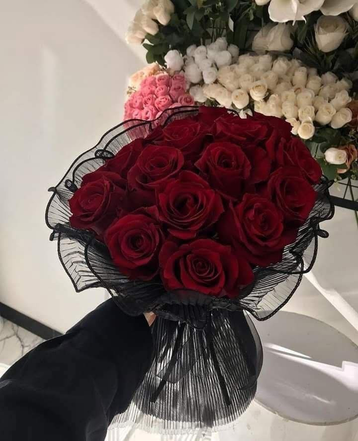 بوكيه ورد او مسكه
خطوبه 

زواج 

تخرج


**إذا كنت صاحب هذا الإعلان وتريد حذفه لأي سبب، رجاءا أرسل رسالة إلى الدعم الفني**