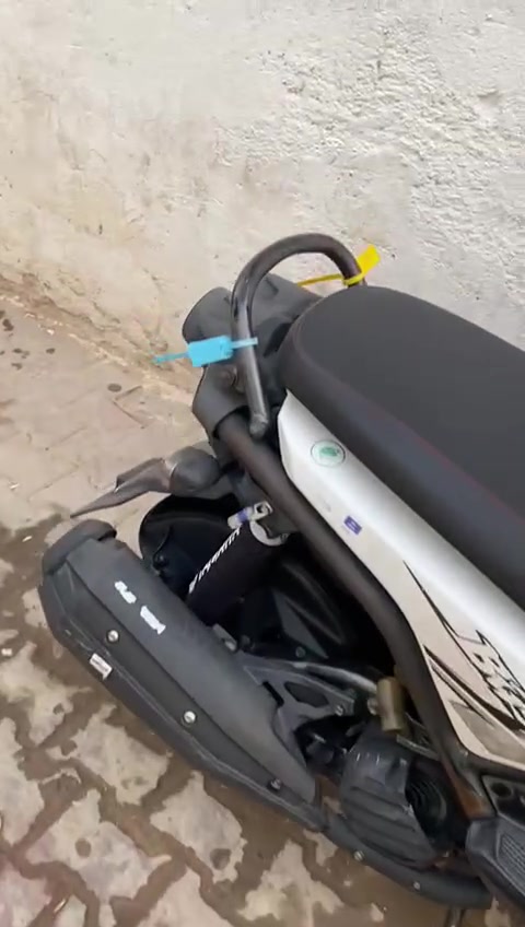 سكنس جبلي ناشفه بلادي من البرغي للبرغي مكفول مصار هواي من مطلعها وكيلها بغداد شوفت عينك دراجه نضيف وماطالعه هواي بس من البيت للشغل العنوان ميسان الاسكان 📍باقي التفاصيل على الرقم 
 *********** واتساب مو كل الاوقات موجود
