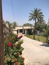 دار للبيع  🚞  مساحه 500 بسند مساحه البناء 200 متر واقع حال 850  متر وا...