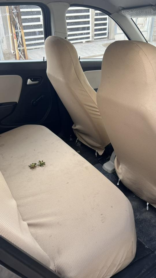 سوزوكي ٢٠٢٣ ألتو رقم سليمانية
سنوية جديدة 
هزة جديدة 
مكفولة من دعامية للدعامية 
اتصال : ***********
