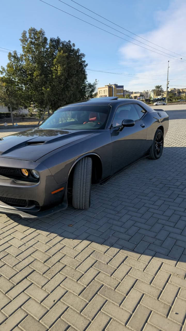 جالنجر SXT بلاص 
موديل 2019 فول مواصفات هزه وسنويه جديده بأسمي حادثها امريكا جاملغ وبنيد وبالعراق جاملغ بدون دواخل السياره 
السعر 155 وبيها مجال بسيط
*********** واتساب واتصال
مكاني بغداد / حي الجهاد
