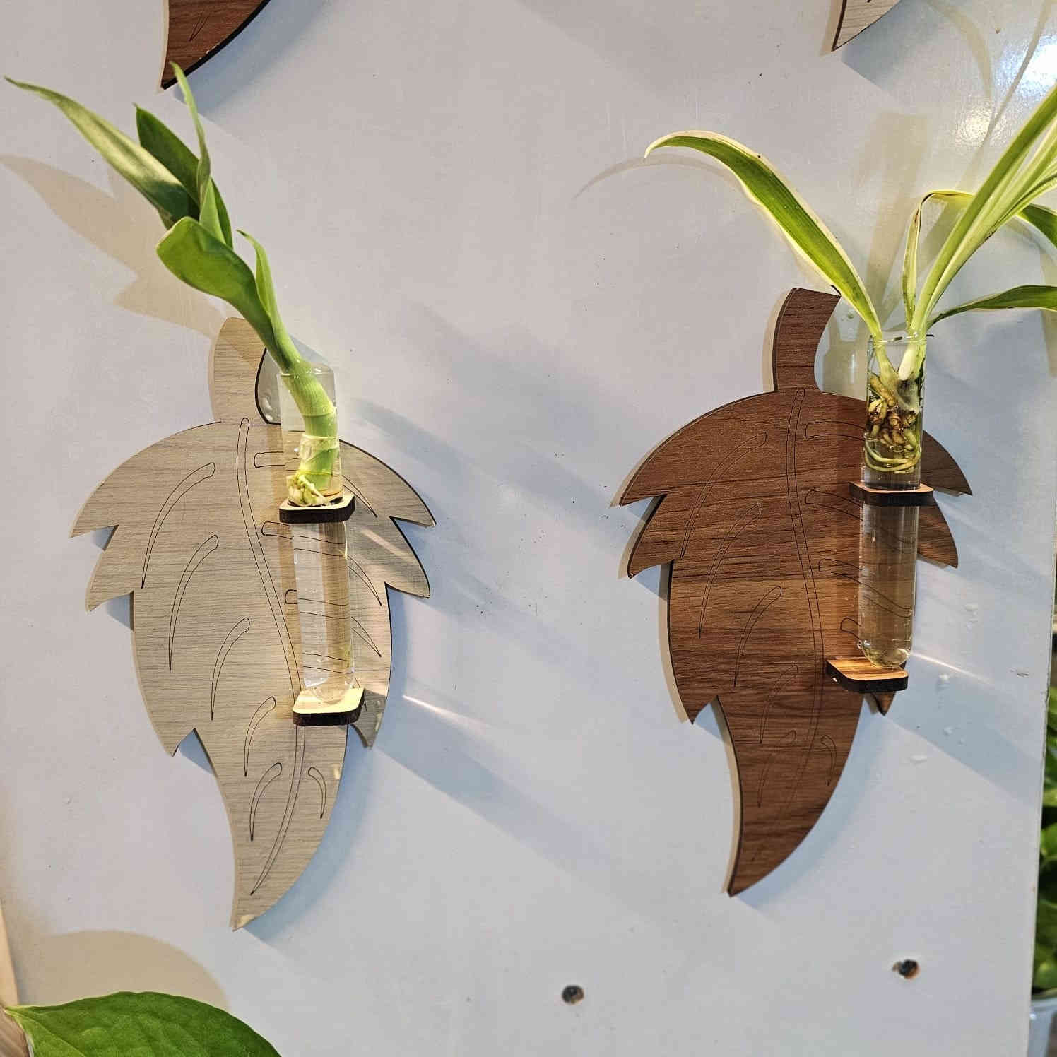 أضف لمسة حياة وأناقة لمنزلك مع ديكور نباتات للتجذير 🌱
تصاميم عصرية، جودة عالية، وأسعار تناسب الجميع!
القطعة بـ 3 آلاف | قطعتين بـ 5 آلاف | 5 قطع بـ 10 آلاف
جملة ومفرد متوفرة
🚚 توصيل لكل العراق

📍 العنوان: مشتـل باشا، كركوك – رحيم أوه
📞 للطلب والاستفسار: ***********
