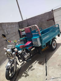 ستوته • رقم وسنوية • الزبير