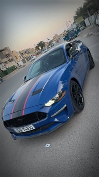 موستنك • ٢٠١٩ • حادثه امامي