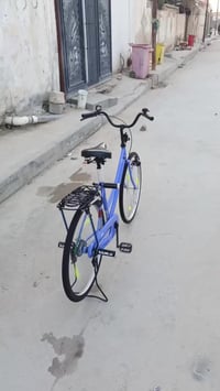 باسكل • غراف • كفاله 19شهر