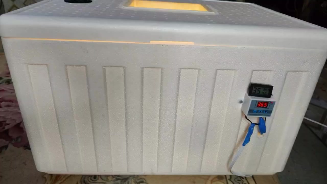 السلام عليكم فقاسة تشيل ٨٠ بيضة تجيك كاملة مع برمجة الحرارة  مع تعليمات من اول يوم الى اخر يوم تفقيس كل هذا بسعر 65 الف والتوصيل مجاني لكافة المحافظات


**إذا كنت صاحب هذا الإعلان وتريد حذفه لأي سبب، رجاءا أرسل رسالة إلى الدعم الفني**