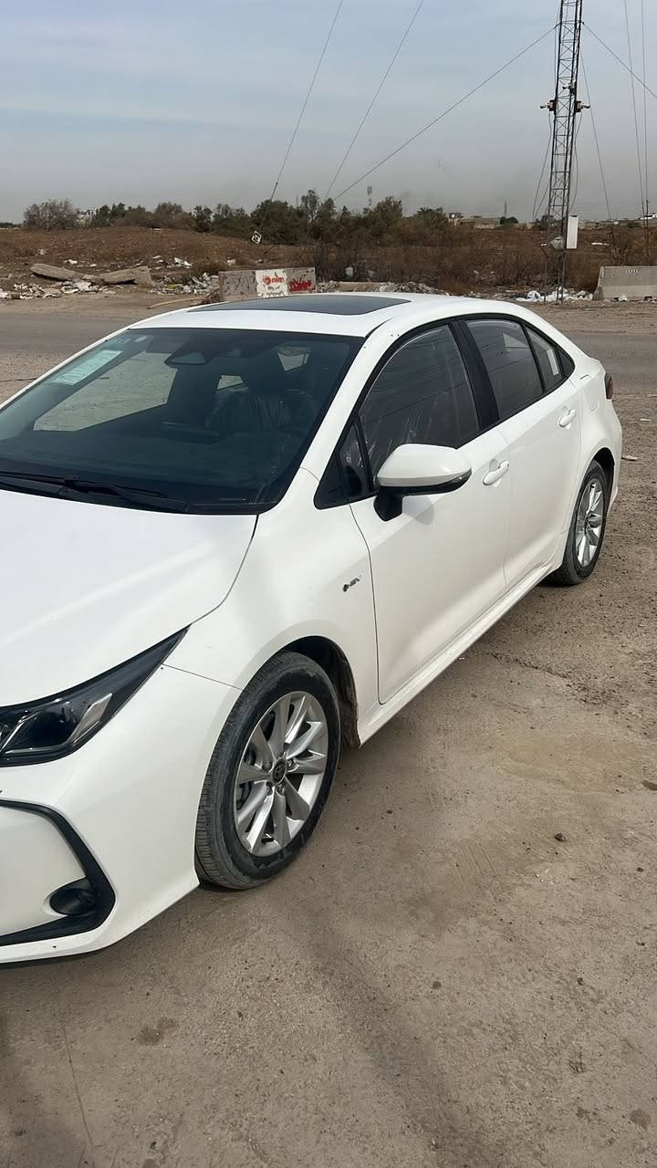 كورلا 2025 خليجي مكفوله ماشيه 6الاف  عارضهه ب163 شرط تحويل ثاني يوم


**إذا كنت صاحب هذا الإعلان وتريد حذفه لأي سبب، رجاءا أرسل رسالة إلى الدعم الفني**