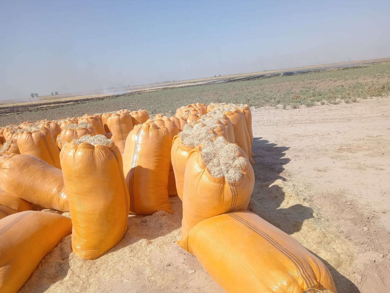 🌾 يوجد تبن للبيع 🌾

تبن الشمال (أربيل وكركوك)
✅ أبيض
✅ ناعم
✅ نظيف
✅ خالٍ من التراب

🚛 سعر الزوج إلى ديالى : ٧ونص 

📞 للاستفسار والطلب: ***********
