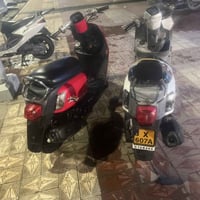 ماكس • حاوية • سوك الشيوخ