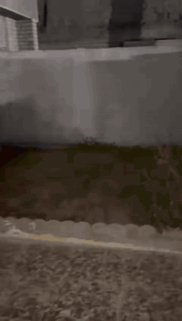 ‏بيت إيجار مساحة 200 متر يحتوى على غرفتين نوم وصالة ومطبخ ومن ملحقات بناء مرتب جراج حديقة سعره 650 مجال بسيط *********** اتصال رقم المكتب
