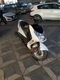 سكنس فحل • سلف • بغداد الدورة