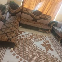 تخم • للبيع • تصنيف خاطئ