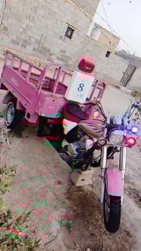 الحلال • شاصي مكفول • اوراق اصوليه