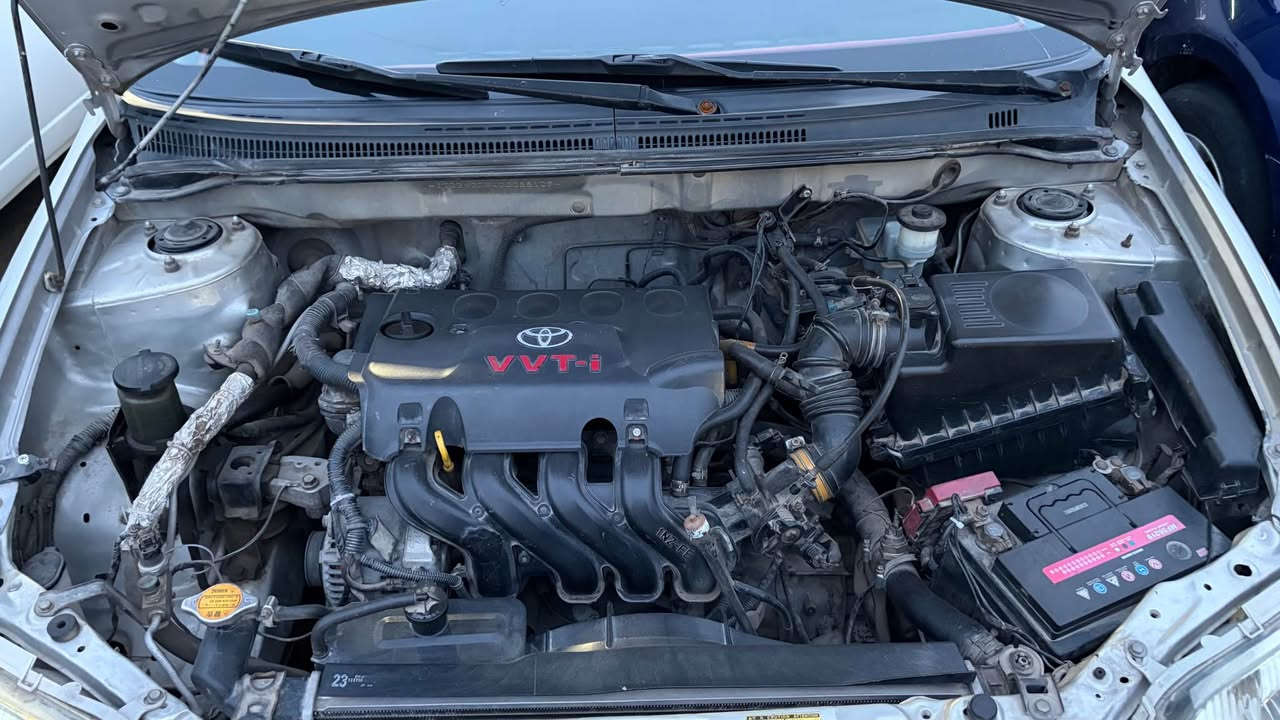 تفاصيل داخل الصور بغداد, العراق


**إذا كنت صاحب هذا الإعلان وتريد حذفه لأي سبب، رجاءا أرسل رسالة إلى الدعم الفني**