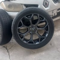 شباب ويل عنكبوت واباما جارجر جالنجر للبيع اومراوس  ب ١٨ مكسيكي حسب الق...