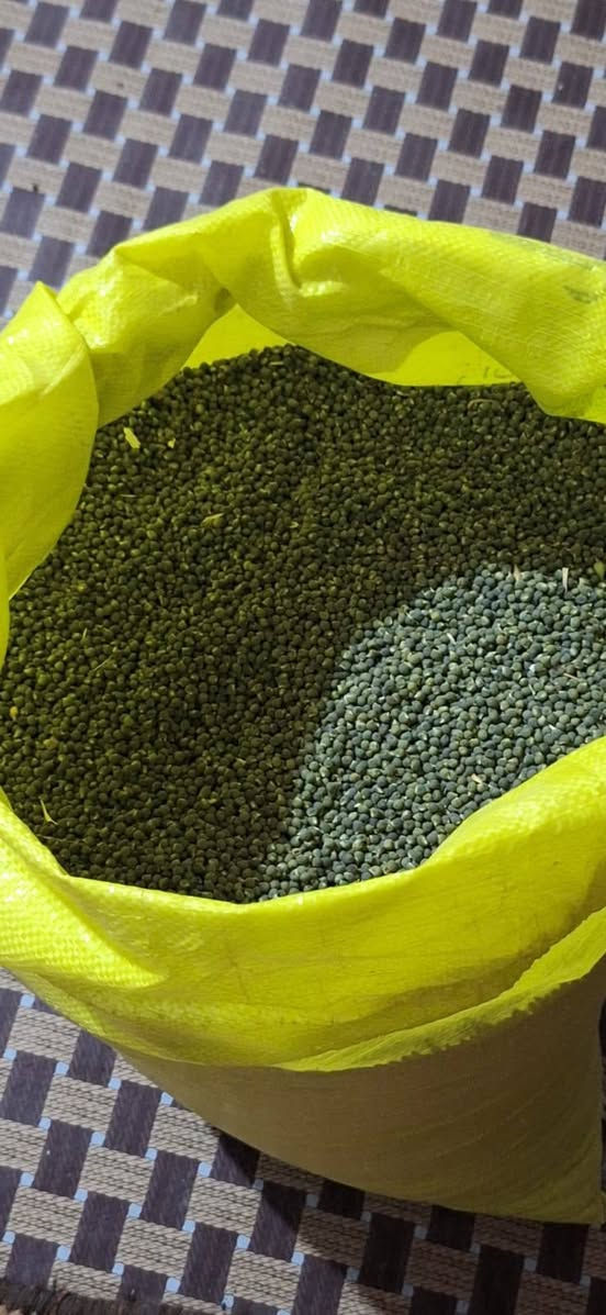 توجد بذور بانيه لهلوبه مكفوله كفاله عامه التواصل على الرقم ***********
