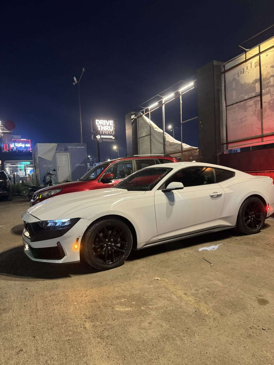 مراوس فقط بموستنك GT 
.
.
موستنك ايكو بوست بريميوم 
فول مواصفات  للاخير و معروفه مواصفات البريميوم
ماشيه 59 الف كيلو وقابل للزياده 
حادثها موجود بالصور والسياره نظيفة كلش و حادثها جداً بسيط و مداريها بالدهن و البانزين كله محسن اديرلها 
فقط مراوس بGT و الافضل رقم شمالي 
للاستفسار ***********
