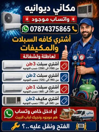 ديوانيه • شراء سبلت • عاطلة