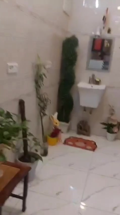 دار للبيع ١٠٠ متر زعفرانيه
زراعي كاع حجي جعفر 
سند ٢٥ 
زعفرانيه ٤ شوارع 
خلف ازياء عبود
بناء ٢٠٢٤ فرع كامل لخدمات 
بناء رفت صب كونكريت كل لبيت 
كهرباء تئسيس بوري رتفاع لبيت ٣٣
يتكون ستقبال صاله مطبخ منور وكراج وبلكونه كبيره و٣ غرف نوم
***********
