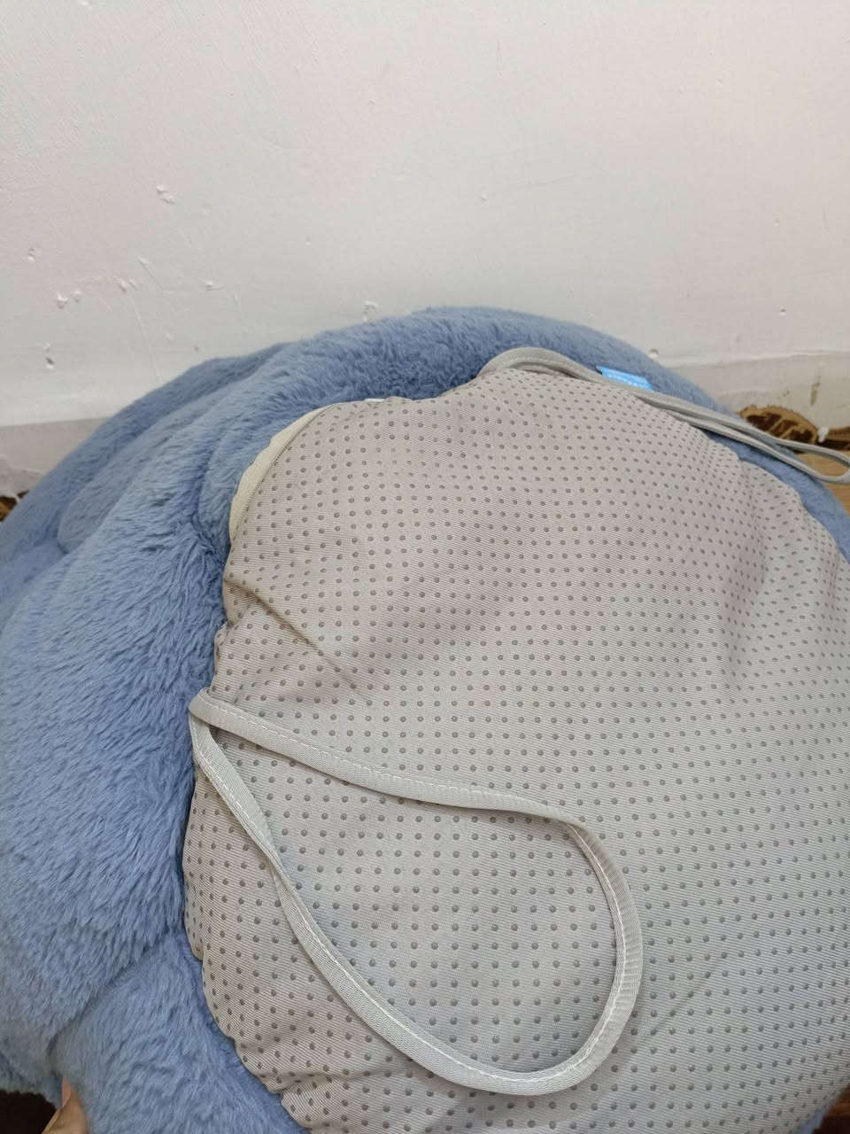 منام حيوانات بشكل وردة 10 الف


**إذا كنت صاحب هذا الإعلان وتريد حذفه لأي سبب، رجاءا أرسل رسالة إلى الدعم الفني**