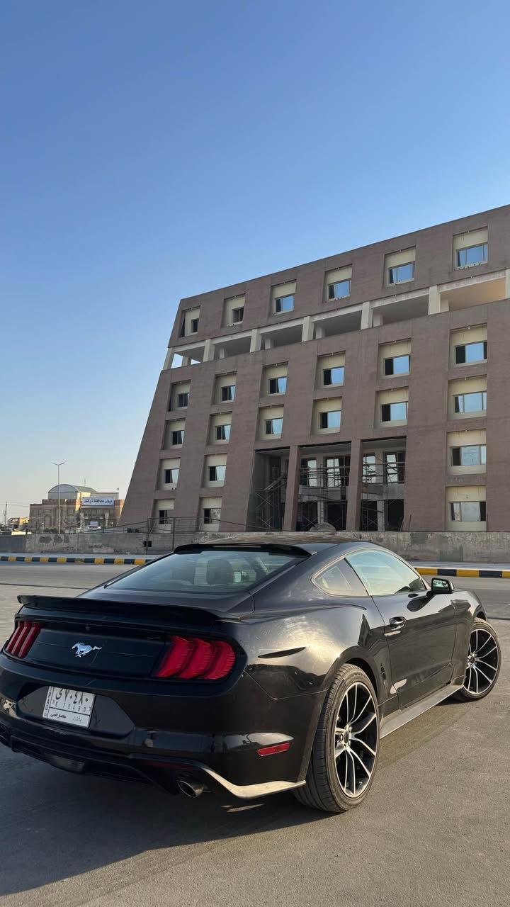 فورد موستنك موديل 18 رقم بغداد سنويه باسمي تحويل ثاني يوم السيارة على ايدي ما متعبه كير ومكينه كفاله تخم تاير جديد باتري جديد السياره حادثه قطعتين من امريكا جاملغ وبنيد مبدل جي تي بدون لغد ولا شاصي ويل عشرين دعاميه شيلبي كت كامل شيلبي شوته جي ال تي دفيوزر خلفي سبايدر خلفي شفقه جامه بلكات ريسنك السياره كلش حلوه ونضيفه ونصبته حلوه واذا شراي اساهلك بالسعر واذا مو شراي لا اتعبني سعره 135 وبيه مجال للشراي مكاني ناصريه *********** ناصرية, ذي قار
