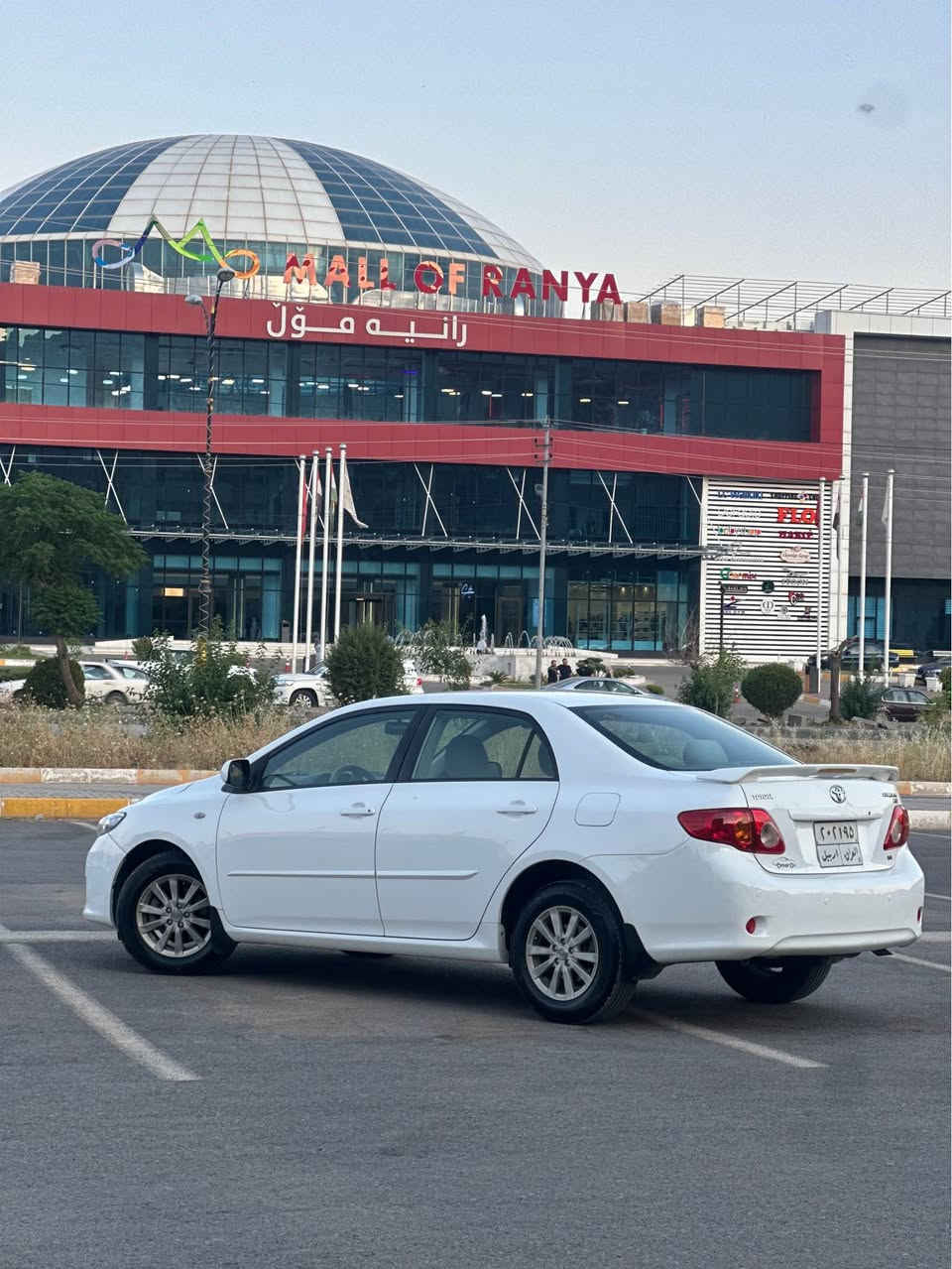 Toyota corolla 2009 
بسم اللە الرحمن الرحیم
تۆیۆتا کرۆلا ٢٠٠٩ خلیجی 
سفری شەریکەی سەید نەهرۆ 
مەکینە بچوک بەنزین زۆر کەم دەخوات
دوو دەرگای سەیاق پەمپی خلیجیە بێدەعم و لێدراو
دوو بست ساردی هەیە 
دوو بۆ سێ پەڵە کارتی هەیە
ئێرباگەکانی هیچی نەتەقیوە هەمووی بەشەرت
گێڕ و مەکینەش بەشەرتە 
تا ئێستا دوو دەستی کردووە 
زۆر خاوێن و بێ مەسرەفە
٢٢٠ هەزار کیلۆمەتر ڕۆیشتووە 
لە چاو مۆدێلەکەی هیچی وا نەڕۆیشتووە
سعری ١١٥ گەڵا و مەجال رانية, السليمانية


**إذا كنت صاحب هذا الإعلان وتريد حذفه لأي سبب، رجاءا أرسل رسالة إلى الدعم الفني**