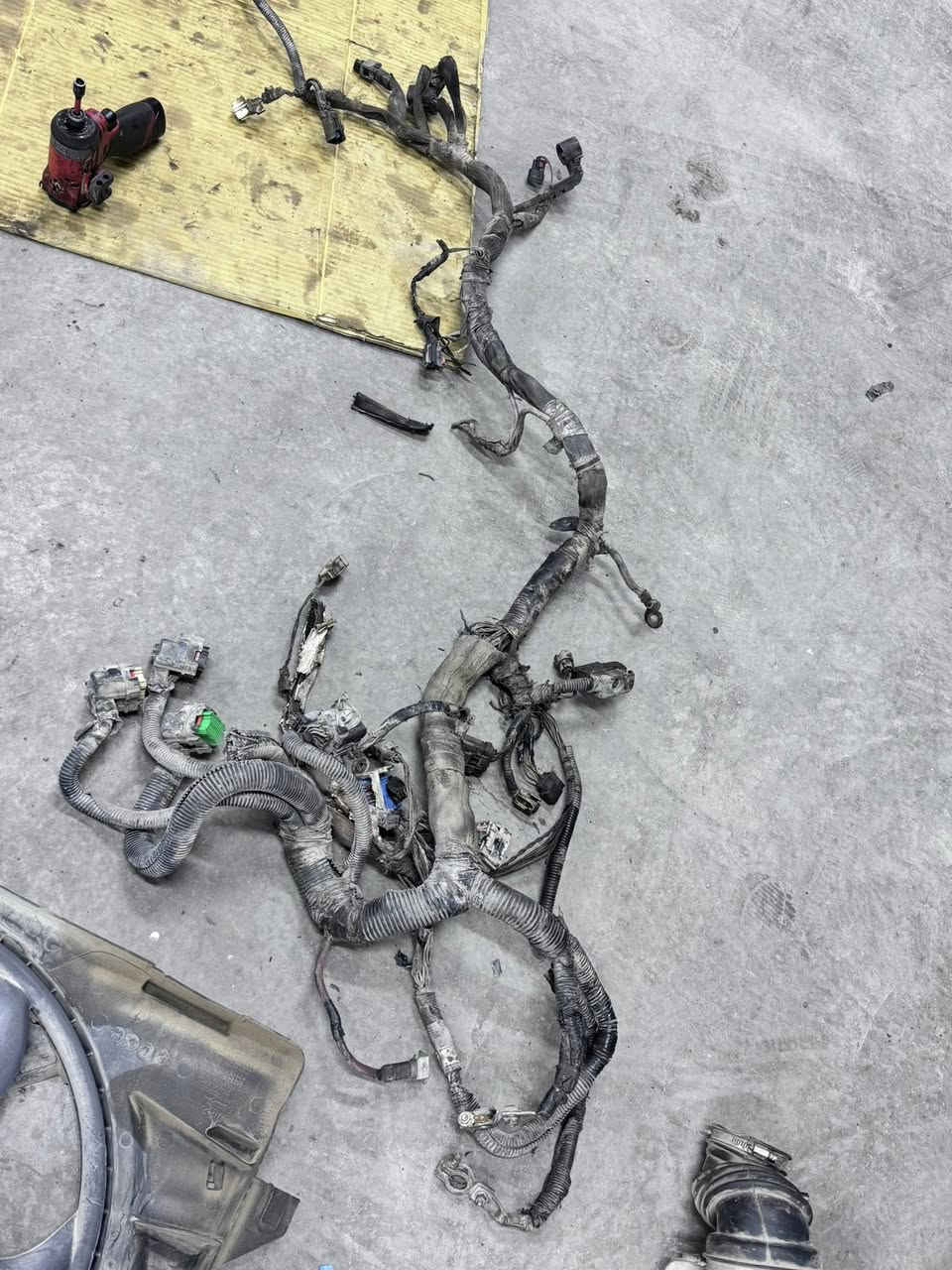 مساء الخير إخواننا وأحبابنا وزبائننا وأصدقائنا الكرام 🌙  

🔧 محلات الوافي لسيارات الأمريكية مستمرة بخدمتكم وتقديم أفضل الخدمات بكامل التفاصيل والدقة.

خدماتنا تشمل:  
✔️ خدمة الطوارئ الموقعية  
✔️ التصليح داخل المحل  
✔️ فحص الجهاز وإطفاء لمبة السيرفيس  
✔️ برمجة العقول  
✔️ تبديل محركات 3600  
✔️ تبديل صدر أمامي كامل مكمل  
✔️ تبديل صدر خلفي كامل مكمل مع العمل والتفاصيل 
✔️ إضافة بصمة تشغيل إضافية  
✔️ تبديل راديتر ثلاث خطوط  من افضل من الانواع 
✔️ توصيل قطع غيار إلى جميع محافظات العراق  

نحن مستمرون بخدمتكم داخل بغداد وخارجها، والتوصيل متوفر إلى كافة المحافظات 🇮🇶  

📍 العناوين:  
🔹 الفرع الأول: بغداد – حي الجامعة – نفق الشرطة – باتجاه العامرية يميناً  
🔹 الفرع الثاني: بغداد – سريعة الغزالية – باتجاه أبو غريب يساراً – قرب سيطرة السونار والتبادل  

📞 للتواصل:  
0771 771 93111  
0780 716 383010  

الوافي لسيارات الأمريكية  
✨ أمان وضمان دائماً ✨  

تحياتنا واحترامنا ♥️
