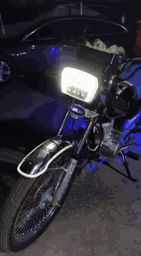 سونك تايكر • موديل 24 • اوراق اصلية