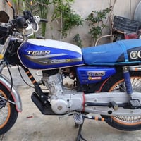 تايگر • ٢٠٢٤ • ٤ گير