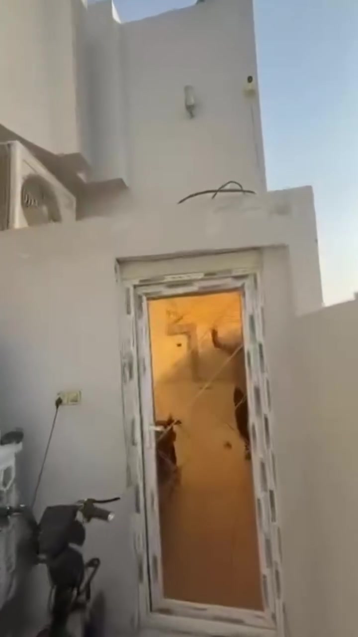 سلام عليكم 

البيع دار المساحه 200 متر 

يحتوي على طابق ونص 

3 غرق نوم + صحيات عدد2+منور عدد2 

استقبال كبير           صاله كبيره.        مطبخ كبير 

كراج يسع الى سياره   شارع 12  الدار حرف T

العنوان النجف الاشرف حي النداء مجمع بيتي 2 

السعر 130وبي مجال 

الاتصال ***********

