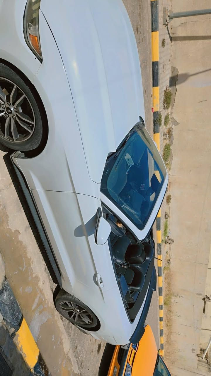 فورد موستنك  موديل 2017
للبيع 
ايكوبوست بريميوم اعلى فئة 
موديل 2017 
تيربو 2300
كشف شغال 
اللون ابيض
دشبول سبع الوان 
إشارات ترحيبية 
جناح خلفي 
مثبت سرعه 
قيادة ذاتية 
تشغيل عن بعد
أنظمة قيادة متعددة 
أناره ارضيه وجانبية 
شاشة كبيرة كار بلاي 
تبريد ثلج 
كشنات كهربائية تدفئة وتبريد 
تحكمات سترين 
بيهة جاملغ وبنيد وباب
سعره ١٢٠ أو بيه مجال بسيط 
ملاحظة :المو شراي لا ايراسل ولا يخابر 
***********

