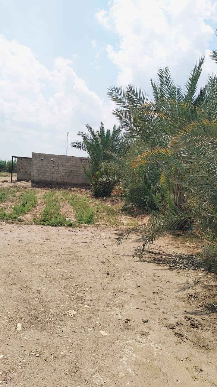 سلام عليكم بيت  للبيع عقد زراعي 35 كوت نهاية  السفحه خلف السكلات بيت  سقف عادي مساحة الارض 2دونم يتوفر مي اساله كهرباء ومولد للاستفسار 
***********
***********

