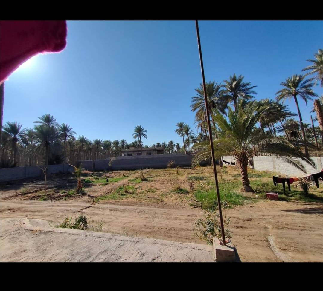 دونم للبيع طابو زراعي عثماني اسود سند 25 بساتين الكوفه قريب على شاليهات ويبعد عن جسر  العيسى كيلو ونص بي بيت مساحة البنيان 250 ثلاث غرف وصاله واستقبال ومطبخ وصحيات داخليه وخارجيه البيت صب والبنيان طابوق المراسله ***********
