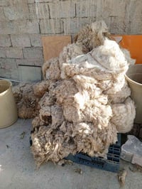 صوف عدد مفتوح بعنه وجبه وضلت وجبه السعر الجوز الف تصال 07816353359 وتس...