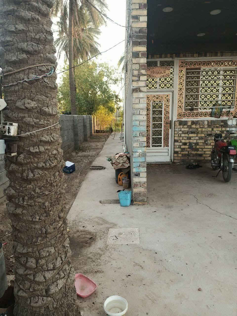 بسم الله توكلنا على الله
نصف دونم مع بيت بناء حديث جديد سنه 22 
مساحه البيت 300 متر طابوك صب كونكريت الوجه مال نصف دونم 13 ونزال من سده لشط طابو صرف 25 على الشط مع حوض اسماك العنوان ميسان بساتين دفاس قرب الاساله الماي ثانية
الاستفسار ***********
      ***********
