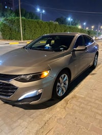 فول مواصفات • ٢٠٢٣ • ورقه بصره