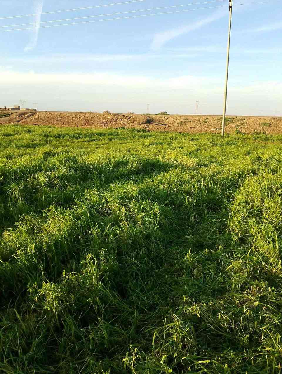 للبيع قطعه الارض زراعيه
عقد ١١٧ زراعي المساحه٤ونص على طريق كوت العماره قريه بيت ارخيص منطقه الحنضليه موقع الأرض على شارع العام سعر الدونم ١٧ مليون
رقم الهاتف ***********
