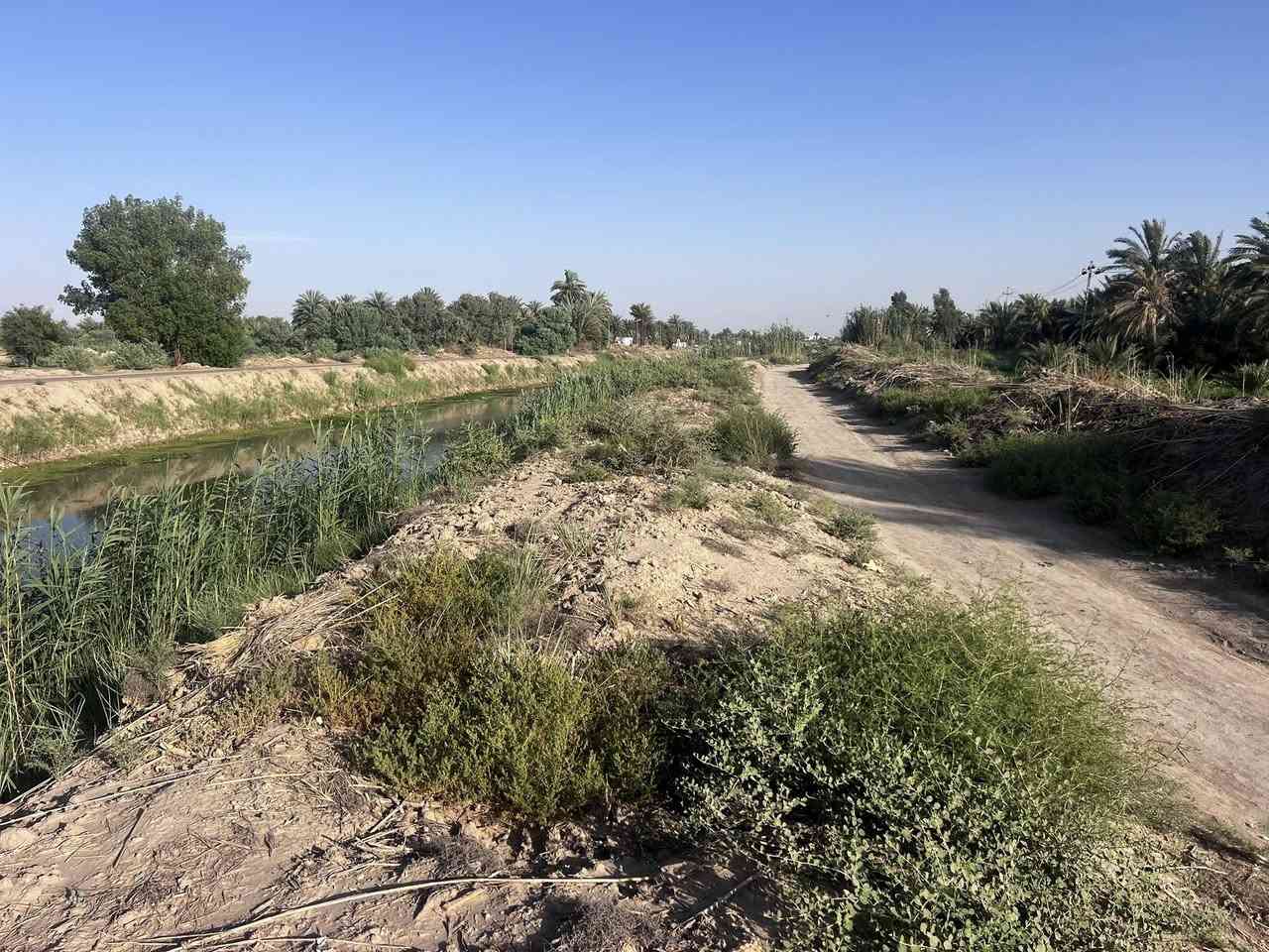 السلام عليكم
بستان طابو 5 دونم خلف مطعم الأمين وجهه علئ الشط
توجد كهرباء وبوري ماء 
للاستفسار ***********
