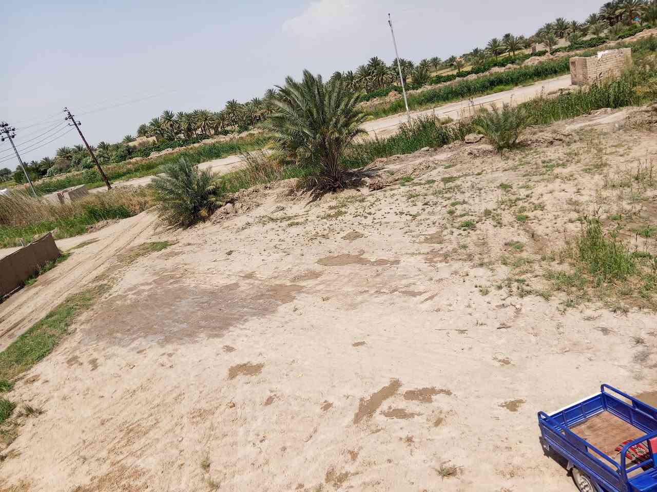 السلام عليكم  ارض زراعيه للبيع ثلاث دوانم مع بيت متكون من استقبال ومطبخ وغرفتين وصاله ومجمع صحيات  بس ارضي عايزله ،بل دغاره على الشارع العام مباشر  يم مدرسه الجمعيات  السعر تصال ع رقم *********** ادخل واتساب

